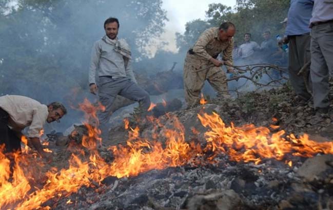 آتش سوزی مراتع دالاهوی کرمانشاه مهار شد